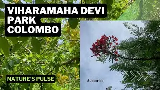 Walk🚶&zwj;♀️ around Viharamaha devi park Colombo@Dr.RayeesaNaleem