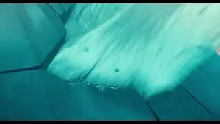 When Ice Breaks&hellip; Scrat Gets Washed Away! 💦😂