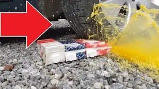 Car vs Toys and Black Panther comes to life again (Reverse Video)