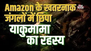 Amazon के जंगलों में मिले रहस्यमयी खतरनाक जानवर #AmazonForests | Report Bharat