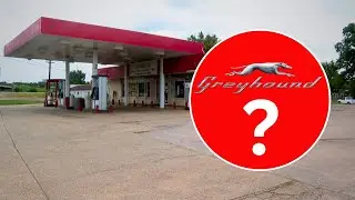 What happened to the Greyhound buses in Alexandria?