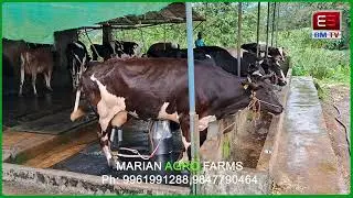കൃഷിത്തോട്ടത്തിൽ ഇനി അത്ഭുതം നടക്കും - കോട്ടയത്തിന്റെ മാതാ ഫ്രഷ് Matha Fresh Soil Enricher