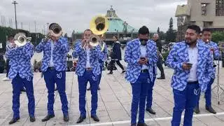 Adiós Reyna del Cielo - Banda Monarca
