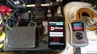 Delicious Tuning Flex Fuel for Cobb AccessPort - Dyno Pull
