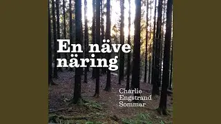 Sentimentalsjukhuset