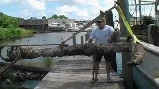 Philadelphia Anchor Salvage