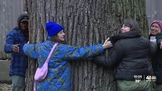 KC community hosts farewell celebration to 250+ year old tree