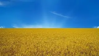 Истфакт №4. Злаки.