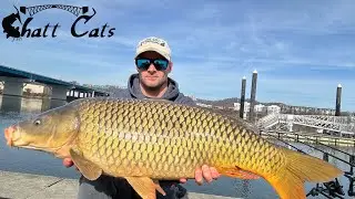 CARPE DIEM - Targeting BIG Carp In The Winter