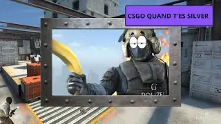 CSGO QUAND T'ES SILVERS 🤦&zwj;♂️                                       #csgofr #awp #csgofunny #awpcsgo