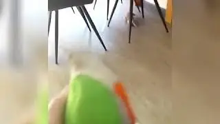 Spelen met Stef de hond #2