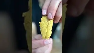 Eating Live Sea Urchin