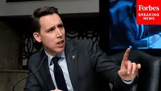 'That Seems Like A Bad Deal To Me': Josh Hawley Rips US Use Of Chinese Components In Energy Sector