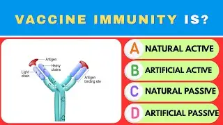 50 IMMUNE SYSTEM Quiz: Cytokines, Antibodies & Body Defense GK! 🛡️