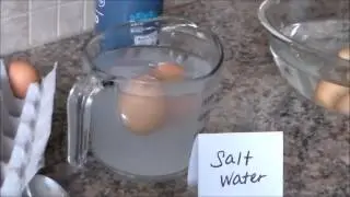 How to Make Eggs Float