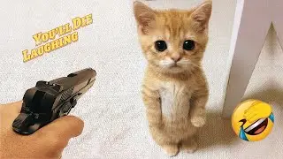 WARNING ⚠️ Non-Stop Laughs 😂 | Ultimate Animal Fails