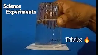 Science Experiments & Tricks | Science Activities | Magic Show @science experiments