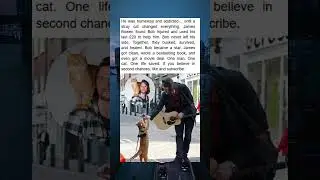 Cat Rescues Homeless Musician