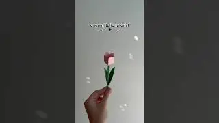 step by step origami tulip tutorial pt. 1!!🌷． ˖ ˙ ⋆ ✦ ˚ ．˖ ⋆ #diyinspo #papercrafts