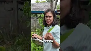 Thai Cooking Secrets: Organic Flavors with O! #shorts