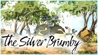 The Silver Brumby | The Best Of The Silver Brumby| Funny Compilation! | Videos For Kids | Funny