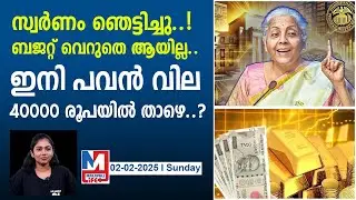 സ്വർണം ആഭരണങ്ങൾക്ക് വില കുറയും..|gold platinum customs duty reduced in budget