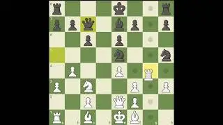 fighting for king 👑💖 #siciliandefense #chess #chessgame #helpmemakethismakesense #puzzle