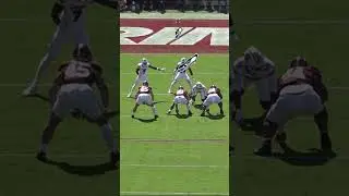 Three 2025 Seattle Seahawks Draft Picks, One Play