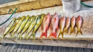 Catching Dinner For The Whole Family! Offshore Fishing In South Florida!!