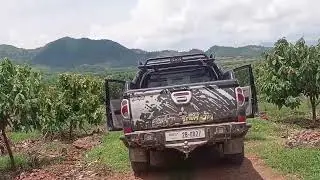 The views cacoa farm at pailin province