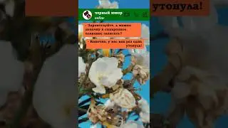 синхронное плавание #черныйюмор #анекдоты #приколы #юмор #blackhumor #humoryoutube #darkhumour