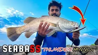 അങ്ങ് തലക്കെ പോയാലും ഇവൻ തന്നെയാണ് Hero🔥 Deadly Action! Kalanji Hooked on Thunder Minnow ⚡