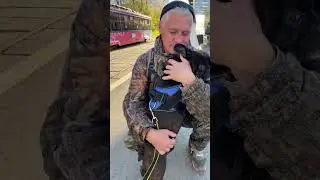 Когда решил, что ты главный🤣 #собака #французкийбульдог #bulldog  #жена #прикол #love