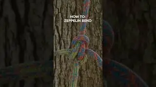 Zeppelin Bend Tutorial #treework #climbing #knots #shorts