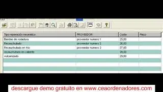 control de llantas empleo df