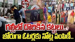 Telangana Municipal Elections 2026 Polling Live Updates | Nalgonda | BRK News