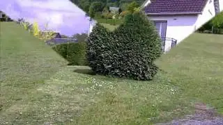 orbigny.wmv