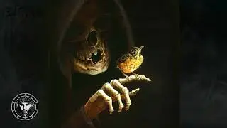 Alchemy Music | Chill Dark Boom Bap Instrumental | 90's Type Rap Beat [FREE] Omens Bloom