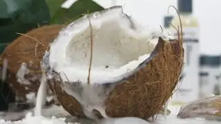 Coconut Shea Collection
