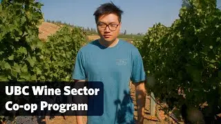 Experience within the wine sector: UBC Wine Sector Co-op Program