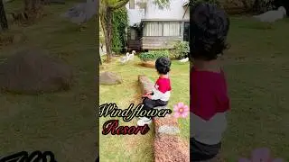 Windflower resort🌸  Mysore #mysore #resort #lunch #love #family #friendship #minivlog