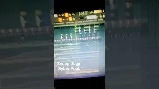 Snoop Dogg Syber Punk