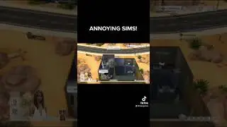ANNOYING SIMS!
