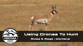 Can You Use Drones While Hunting | Drone Laws For Scouting Animals | Montana Drone Company
