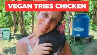 Raw Vegan Chicken Sandwiches 🥪Vegan Meat Substitute🥬Simple Easy Quick Recipe