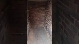 Part 1: Turning an old coal shed into functional storage! 🔨 🖌 #DIY #Renovation #home #transformation