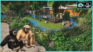 Planet Zoo Tropical Pack - Lar Gibbon Land | A Habitat Creation |