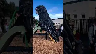 Ballara Park Reserve Opening