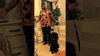 MAC RELL NEW PROMO