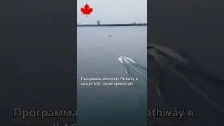Зачем вам программа английского University Pathway?